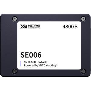 长江存储YMES0XH05B48ME 480G企业级固态硬盘 2.5 寸 SATA接口 SE006系列